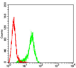 Figure 5:Flow cytometric analysis of PC-3 cells using KRT15 mouse mAb (green) and negative control (red).