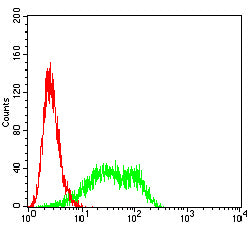 Figure 5:Flow cytometric analysis of PC-3 cells using PSCA mouse mAb (green) and negative control (red).