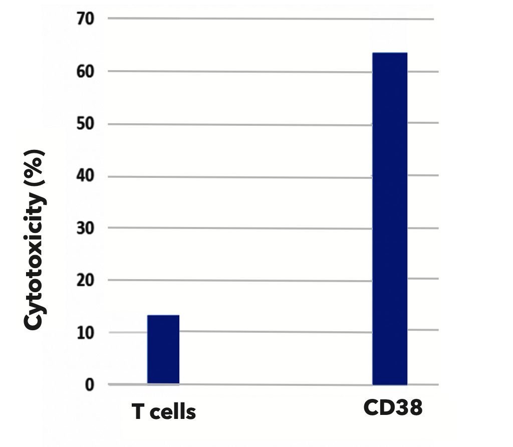 Figure 2. LDH (lactate dehydrogenase) cytotoxicity activity of effector CD38-CD28- CD3-CAR-T cells against RPMI8226 multiple myeloma target cells. Effector: Target cells ratio=5:1.