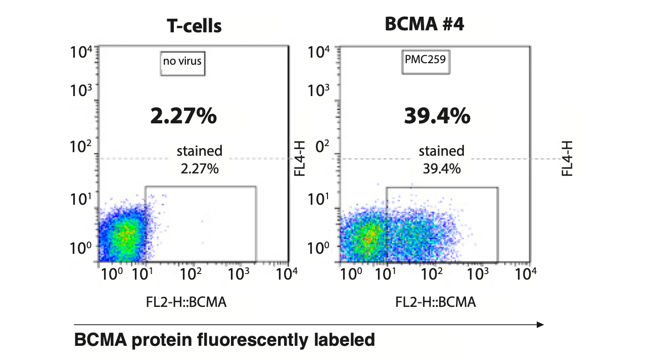 Figure 2. IL-2 secretion by BCMA-CAR-T cells against different cancer cell lines.