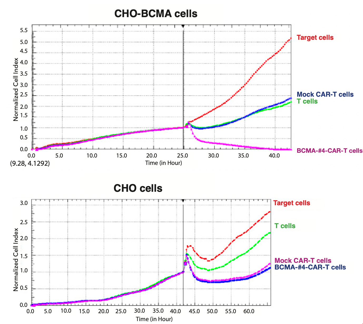 Figure 3. RTCA cytotoxicity activity of effector BCMA-CD28-CD3-CAR-T cells against multiple myeloma target cells. Effector cells: Target cells ratio=10:1.