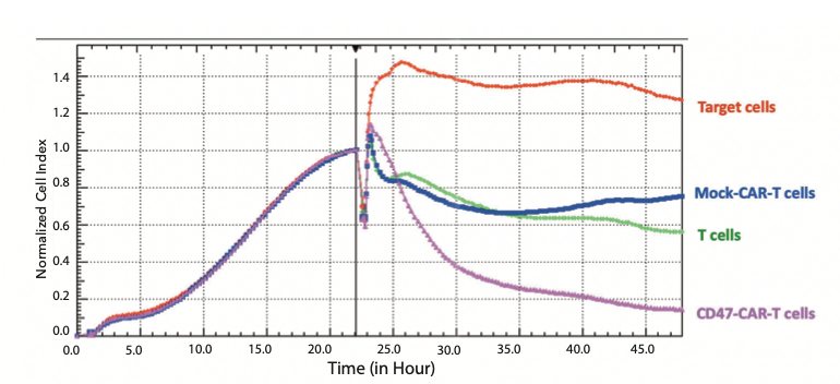 Figure 2. RTCA cytotoxicity activity of effector CD47-CD28-CD3-CAR-T cells against SKOV-3 ovarian cancer target cells. Effector cells: Target cells ratio=10:1.