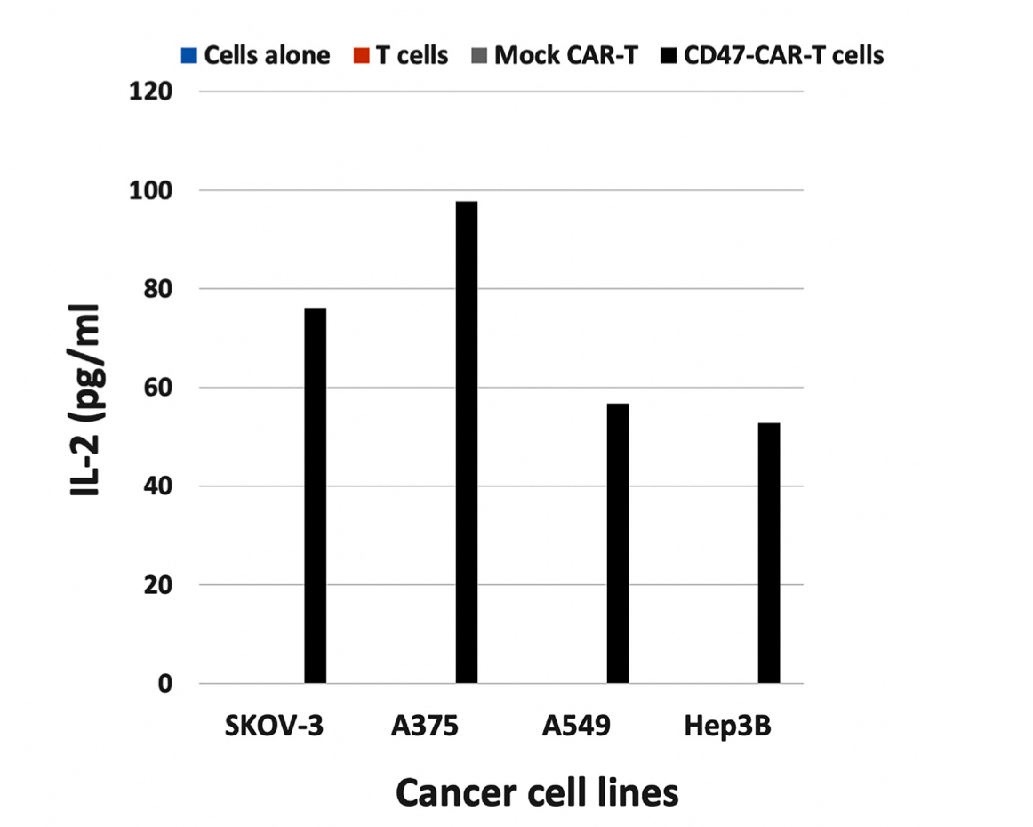 Figure 3. IL-2 secretion by CD47-CAR-T cells against different target cancer cell lines.