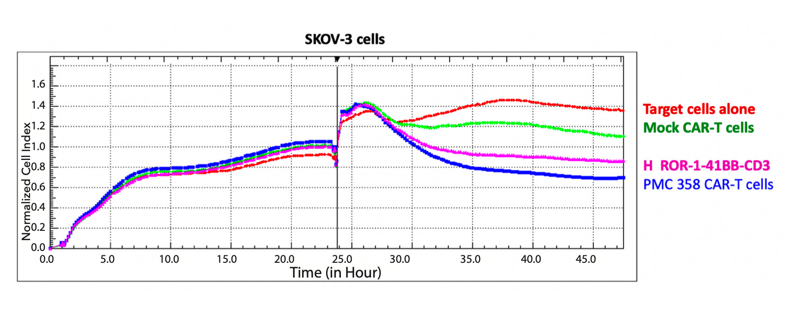 Figure 2. RTCA cytotoxicity activity of effector ROR-1-41BB-CAR-T cells against ROR-1-positive SKOV-3 ovarian cancer cells. Effector: Target cells ratio=10:1.