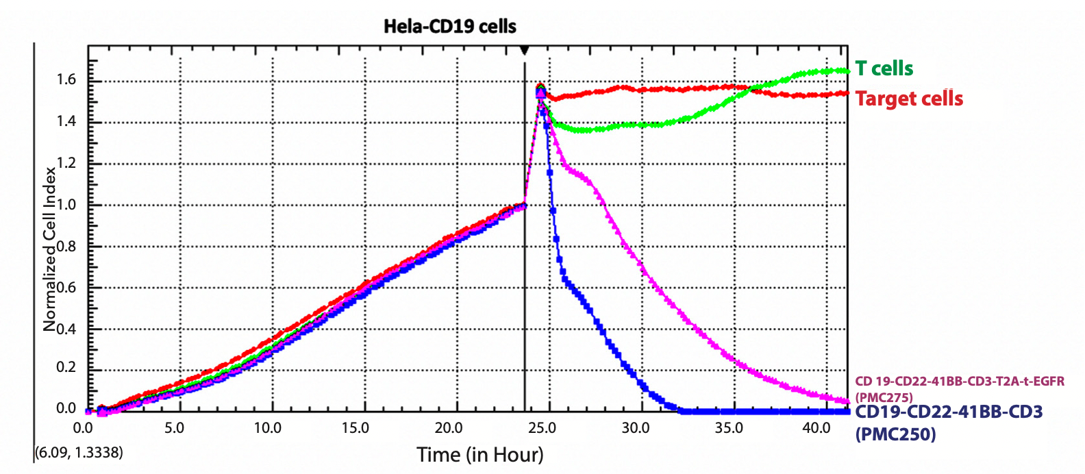 Figure 3. CD19-CD22-41BB-CD3-t2A-t-EGFR CAR-T cells kill Hela-CD19 cells