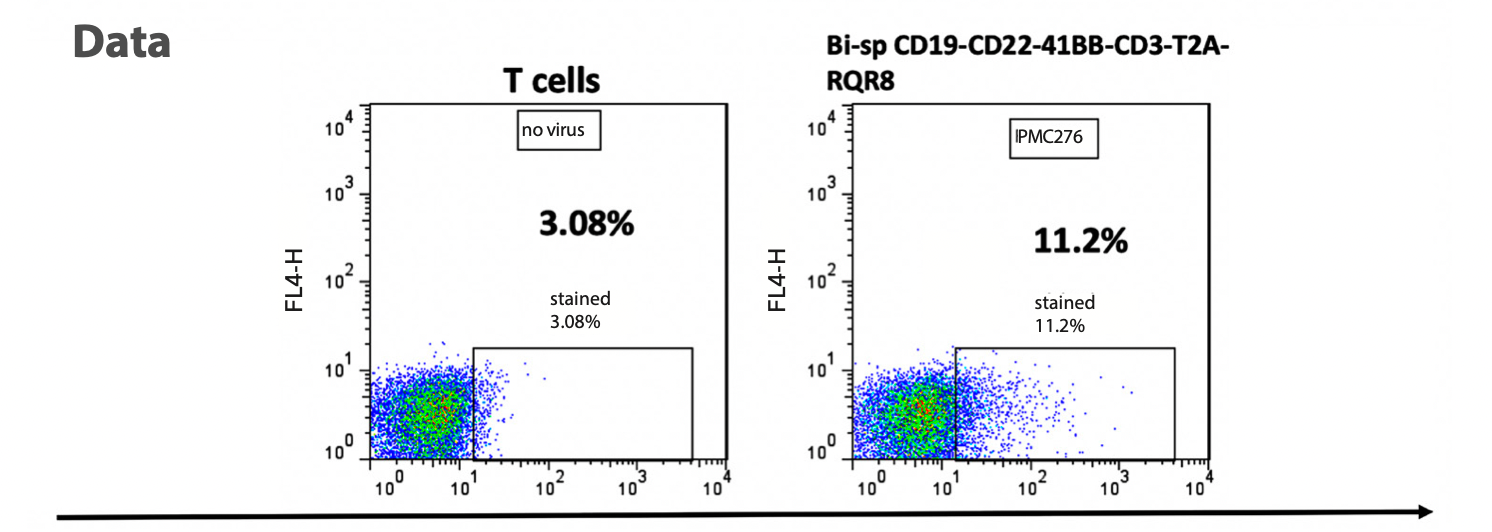 Figure 2. Rituximab detects Rituximab (R) epitope. CD34 antibody detected CD34 epitope (Q) (not shown).