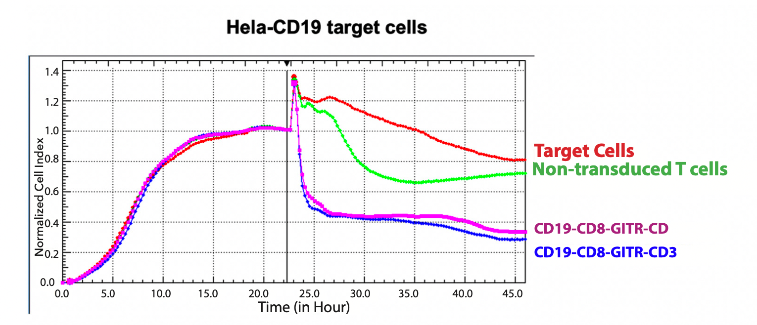 Figure 2. CD19-GITR-CAR-T cells are cytotoxic against Hela-CD19 cells by RTCA assay.