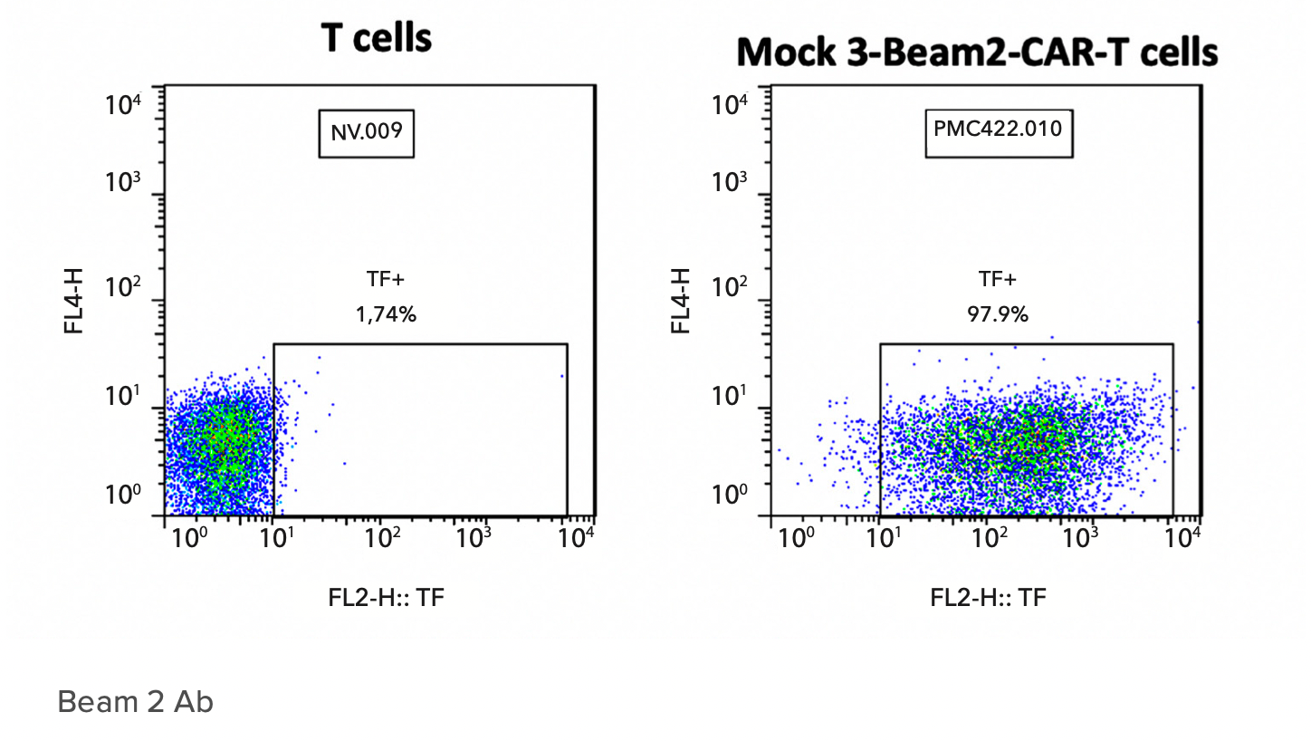 Figure 2. FACS analysis with Beam-2 antibody detect extracellular 3-Beam-2 sequence in Mock-CAR-T control. These CAR-T cells don’t have cytotoxicity (not shown).