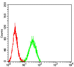 Figure 5:Flow cytometric analysis of HepG2 cells using PODXL mouse mAb (green) and negative control (red).