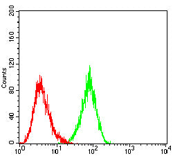 Figure 3:Flow cytometric analysis of MOLT4 cells using CD206 mouse mAb (green) and negative control (red).