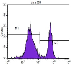 Figure 1: Flow cytometric analysis of blood T cells using CD4 mouse mAb (M2) and negative control (M1).