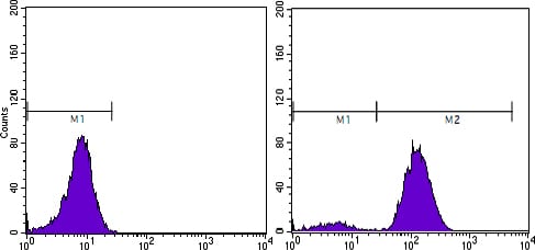 Figure 4: Flow cytometric analysis of PC-3 cells using KLK3 mouse mAb (right) and negative control (left).