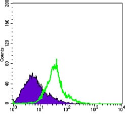 Figure 4: Flow cytometric analysis of Hela cells using WNT1 mouse mAb (green) and negative control (purple).