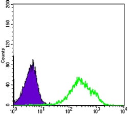 Figure 4: Flow cytometric analysis of Hela cells using DAXX mouse mAb (green) and negative control (purple).