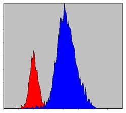 Figure 4: Flow cytometric analysis of Hela cells using JAK3 mouse mAb (blue) and negative control (red).