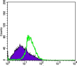 Figure 4: Flow cytometric analysis of MSCS cells using DDX4 mouse mAb (green) and negative control (purple).