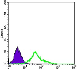 Figure 3: Flow cytometric analysis of EC cells using NGFR mouse mAb (green) and negative control (purple).