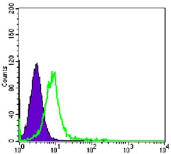 Figure 4: Flow cytometric analysis of K562 cells using CHD3 mouse mAb (green) and negative control (purple).