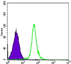 Figure 3: Flow cytometric analysis of Hela cells using SMC1 mouse mAb (green) and negative control (purple).