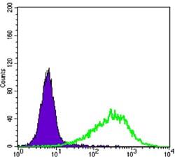 Figure 3: Flow cytometric analysis of NIH/3T3 cells using Rab25 mouse mAb (green) and negative control (purple).