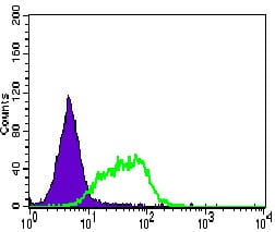 Figure 2: Flow cytometric analysis of HepG2 cells using RASSF1 mouse mAb (green) and negative control (purple).