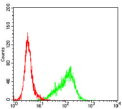 Figure 6:Flow cytometric analysis of K562 cells using HSP70 mouse mAb (green) and negative control (red).