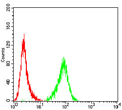 Figure 5:Flow cytometric analysis of Jurkat cells using XRCC1 mouse mAb (green) and negative control (red).