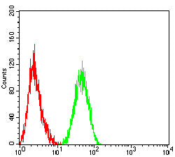 Figure 3:Flow cytometric analysis of THP-1 cells using MKI67 mouse mAb (green) and negative control (red).