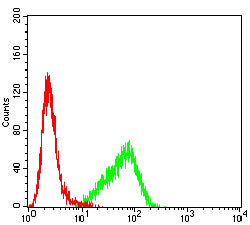 Figure 3:Flow cytometric analysis of THP-1 cells using TLR7 mouse mAb (green) and negative control (red).