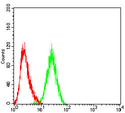 Figure 5:Flow cytometric analysis of Jurkat cells using PDLIM7 mouse mAb (green) and negative control (red).