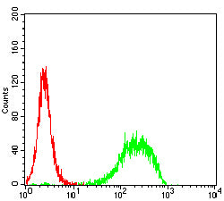 Figure 9:Flow cytometric analysis of Jurkat cells using TUBB1 mouse mAb (green) and negative control (red).