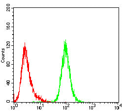 Figure 4:Flow cytometric analysis of K562 cells using CXCL9 mouse mAb (green) and negative control (red).