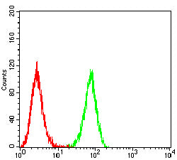Figure 5:Flow cytometric analysis of THP-1 cells using CD32B mouse mAb (green) and negative control (red).
