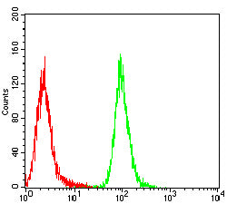 Figure 5:Flow cytometric analysis of THP-1 cells using CXCL9 mouse mAb (green) and negative control (red).