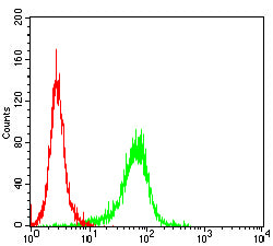 Figure 4:Flow cytometric analysis of Jurkat cells using HMOX1 mouse mAb (green) and negative control (red).
