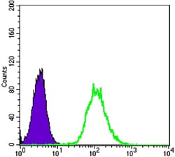 Figure 2: Flow cytometric analysis of Hela cells using anti-CK7 mAb (green) and negative control (purple).