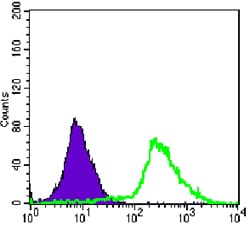 Figure 3: Flow cytometric analysis of Jurkat cells using p44/42 MAPK mAb (green) and negative control (purple).