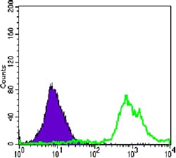 Figure 4: Flow cytometric analysis of Jurkat cells using anti-CD247 mAb (green) and negative control (purple).