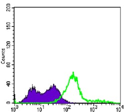 Figure 2: Flow cytometric analysis of Jurkat cells using CD3E mouse mAb (green) and negative control (purple).