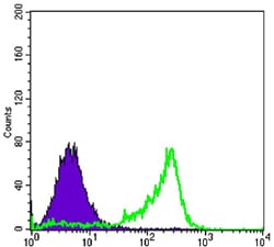 Figure 3: Flow cytometric analysis of 3T3-L1 cells using PAX6 mouse mAb (green) and negative control (purple).