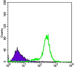 Figure 3: Flow cytometric analysis of K562 cells using IL34 mouse mAb (green) and negative control (purple).