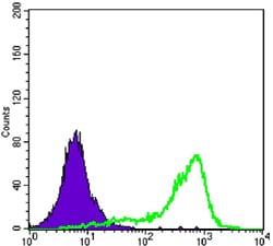 Figure 3: Flow cytometric analysis of K562 cells using CRTC1 mouse mAb (green) and negative control (purple).