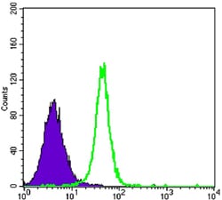 Figure 3: Flow cytometric analysis of K562 cells using HK2 mouse mAb (green) and negative control (purple).