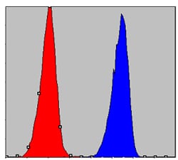 Figure 3: Flow cytometric analysis of A549 cells using CHUK mouse mAb (blue) and negative control (red).