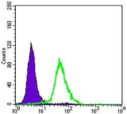 Figure 4: Flow cytometric analysis of Hela cells using CRTC2 mouse mAb (green) and negative control (purple).