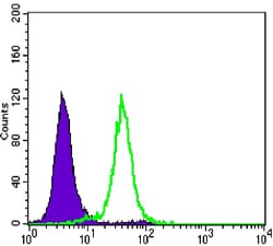 Figure 3: Flow cytometric analysis of Hela cells using CCNB1 mouse mAb (green) and negative control (purple).