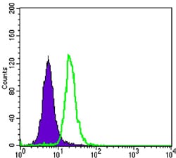 Figure 4: Flow cytometric analysis of SK-BR-3 cells using SCGB2A2 mouse mAb (green) and negative control (purple).