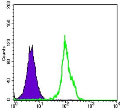 Figure 3: Flow cytometric analysis of HL-60 cells using BLK mouse mAb (green) and negative control (purple).