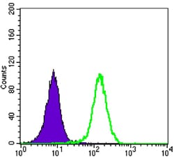 Figure 2: Flow cytometric analysis of K562 cells using STK11 mouse mAb (green) and negative control (purple).