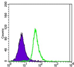 Figure 2: Flow cytometric analysis of Jurkat cells using SLC22A1 mouse mAb (green) and negative control (purple).